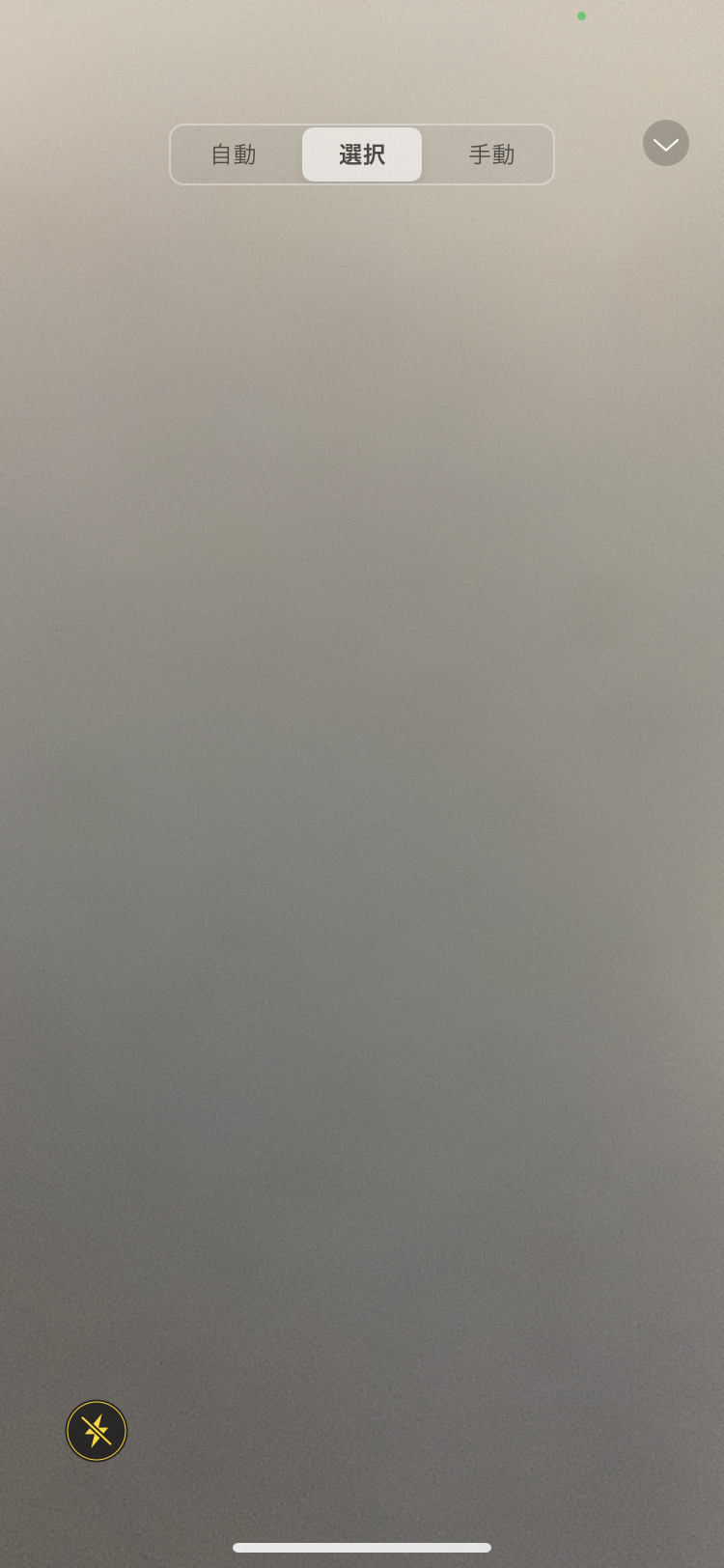 IMG_1404.PNG
